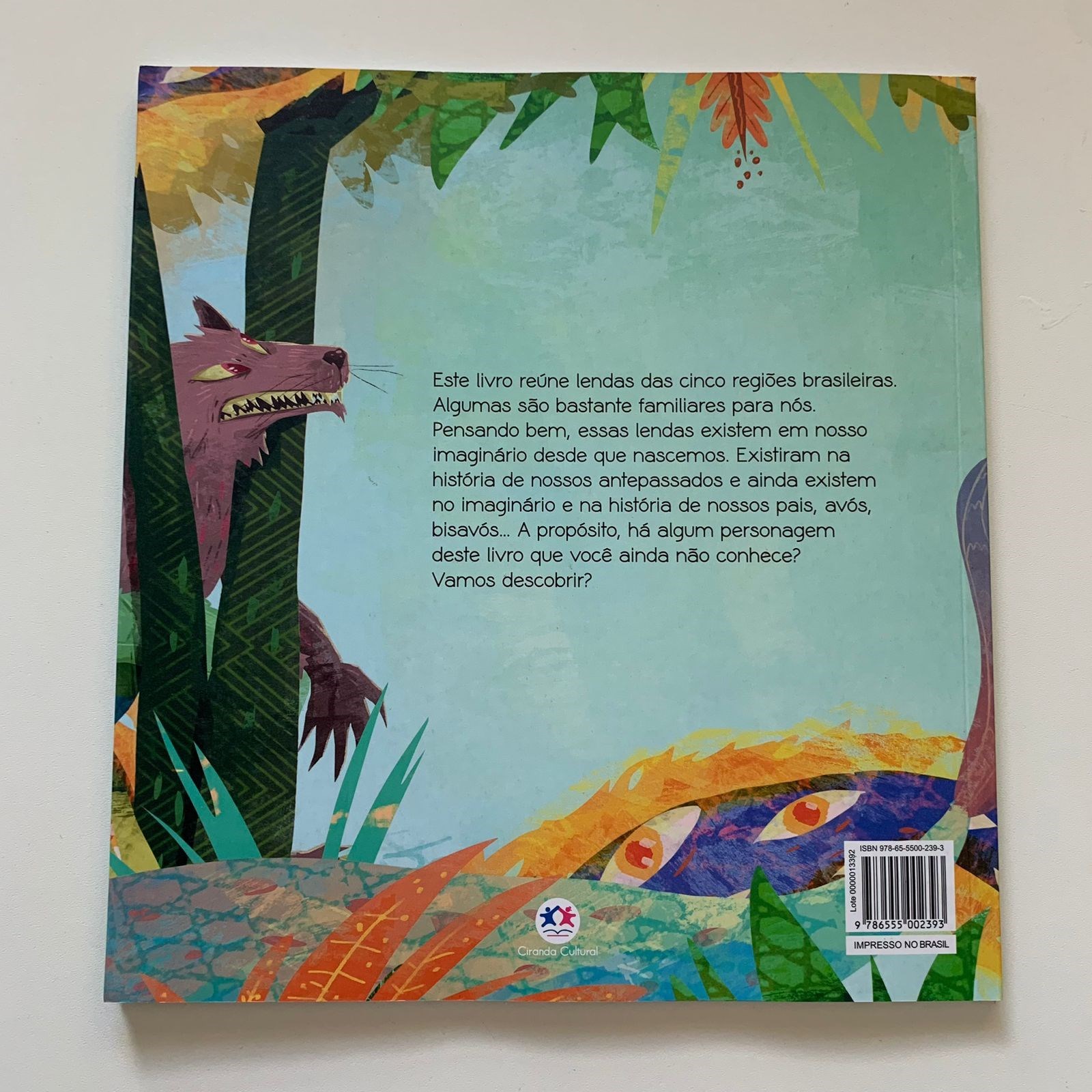 Livro: Amigos do Folclore Brasileiro