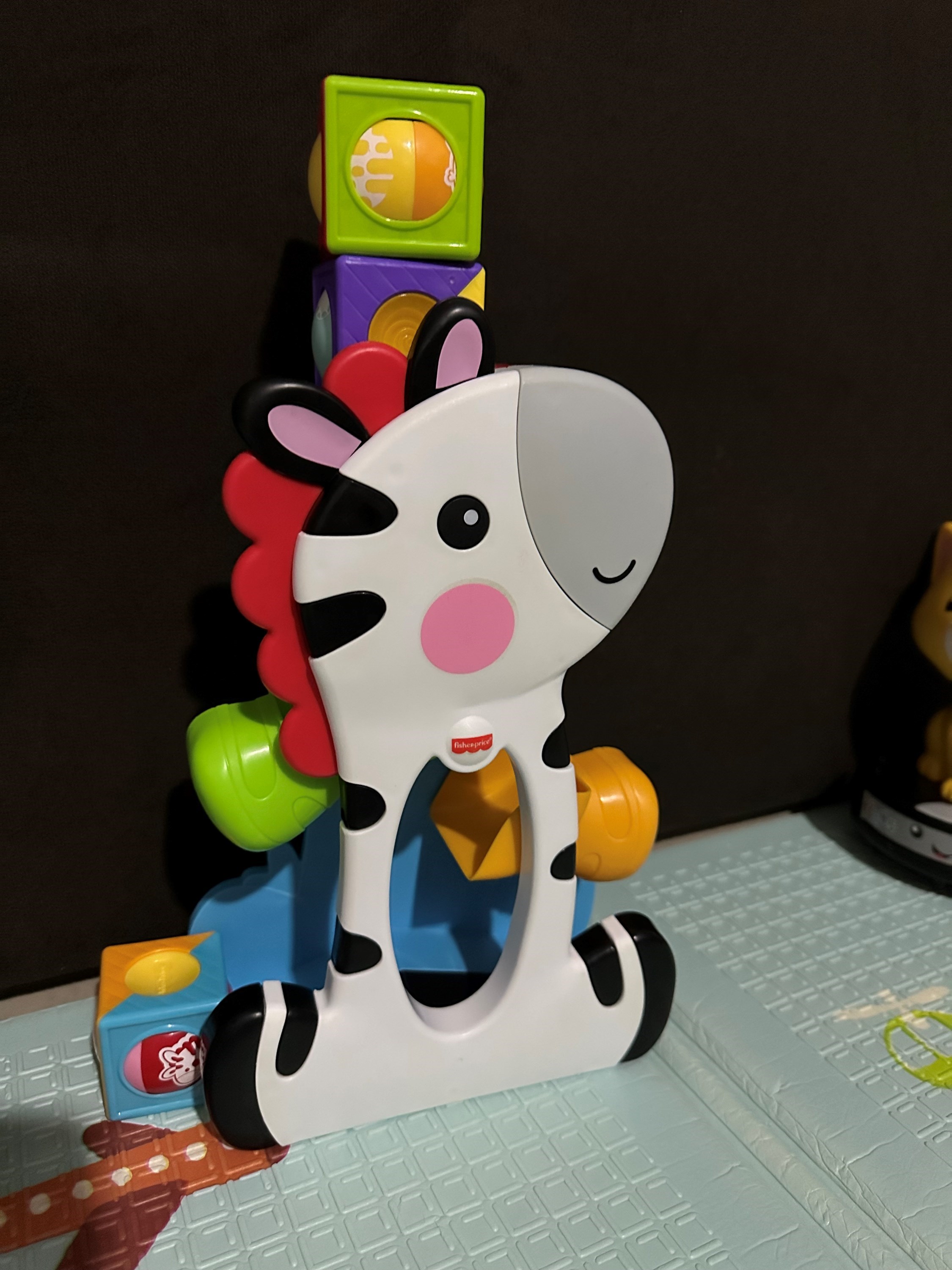 Zebra com blocos surpresa